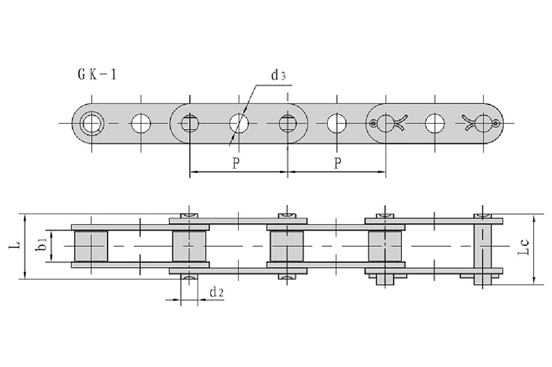 Double pitch conveyor chain with middle hole