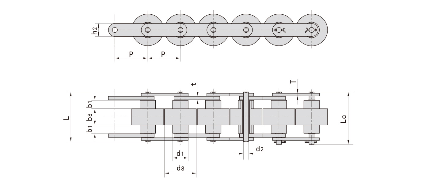 Double speed chain